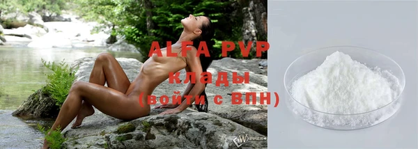 индика Белоозёрский