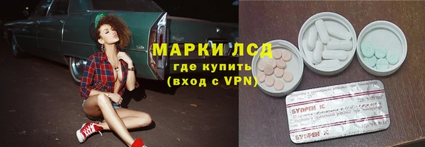 индика Белокуриха
