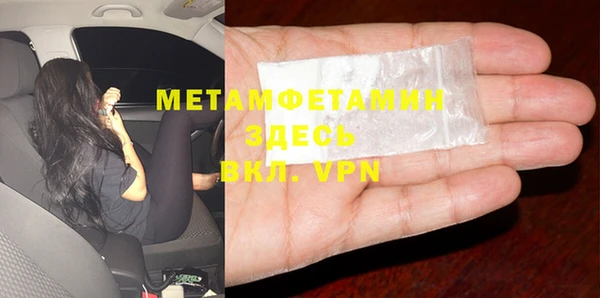 индика Белокуриха