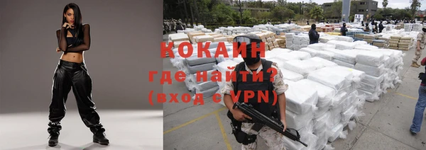 индика Белоозёрский