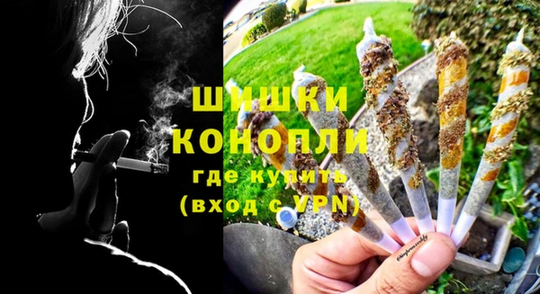 индика Белоозёрский