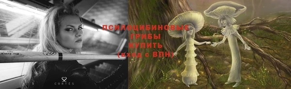 индика Белокуриха