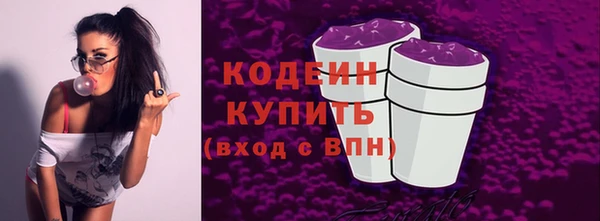 индика Белокуриха