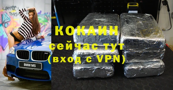 индика Белокуриха