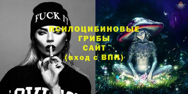 индика Белоозёрский